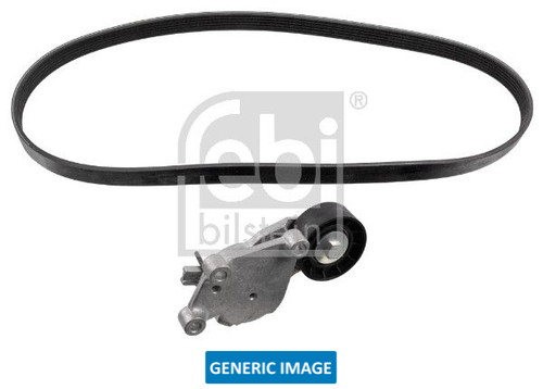 Ribbed belt set - set, drive