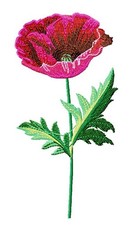 MACHINE EMBROIDERY DESIGNS USB