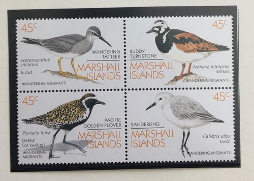 Marshall islands exsotic - marshall,