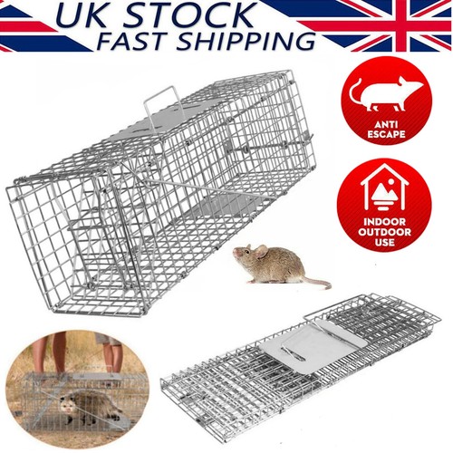 Extra large animal - animal, cage