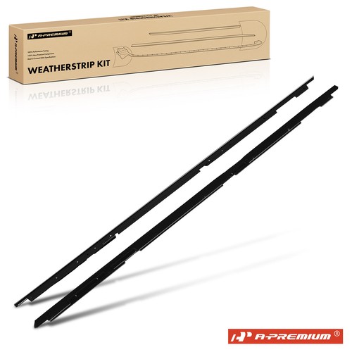 Premium door window - 2x,