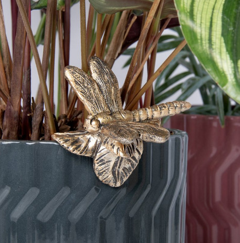 Plant pot pals dragonfly - plant,