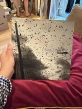 Kosovo, 1999-2000 : The Flight