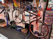 koga Miyata Forest 54cm