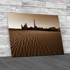 Totem Pole And Sand Dunes Utah