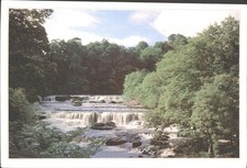 AYSGARTH FALL, Yorkshire - Vintage POSTCARD