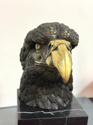 Bronze eagle statue - beak, bust