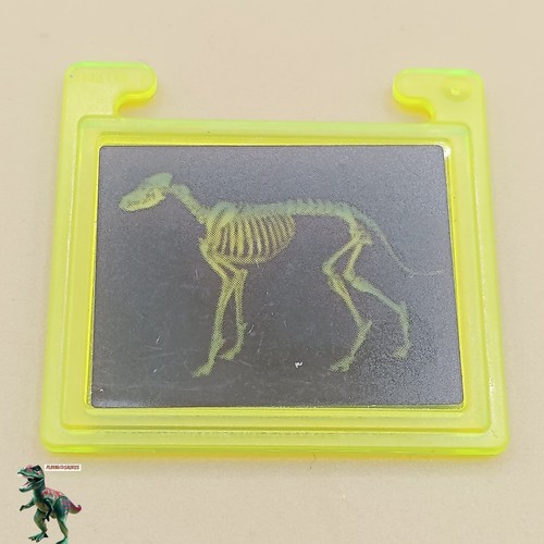 Playmobil-x-rays-scanner-medic
