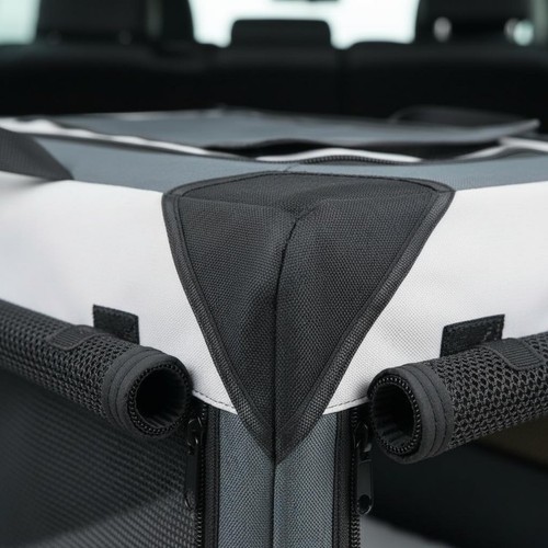 Car trunk dog - car,
