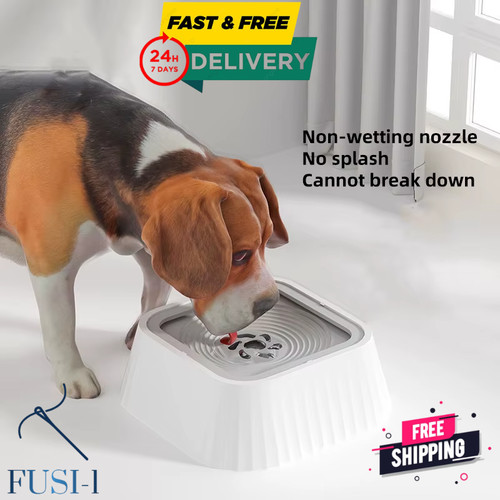 Non spill dog - non,