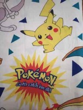 anime pokemon charizard twin