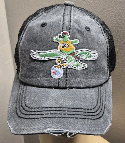 Philadelphia phanatic flying - philadelphia,