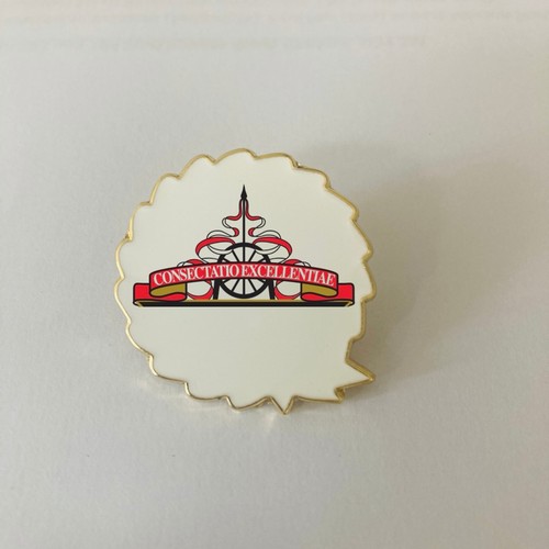 Sunderland rosette pin metal - sunderland,