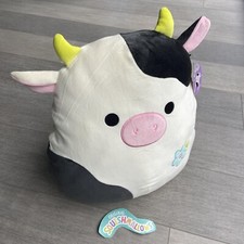 BRAND NEW +Tags Squishmallows
