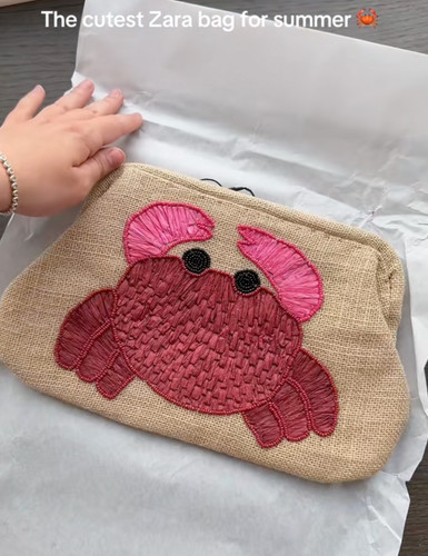 Zara raffia beaded crab - zara,