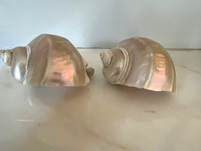 Two Antique Natural Turban
