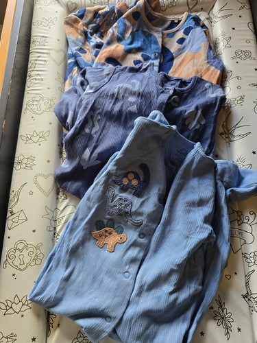 Bundle next dinosaur - bundle, blue
