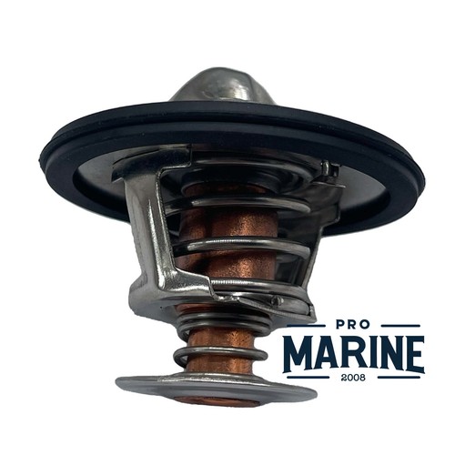 169 thermostat kit - thermostat,