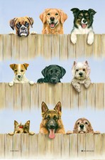 K9 DOGS tea towel McCaw Allan Dog Tea Towels Boxer Collie Labrador Westie Yorkie