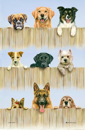 Dogs tea towel mccaw - k9, allan