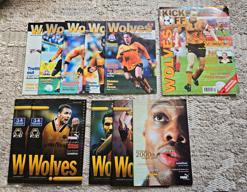 Wolverhampton wanderers wolves - wanderers,