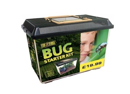 Exo terra bug starter - bug, kit