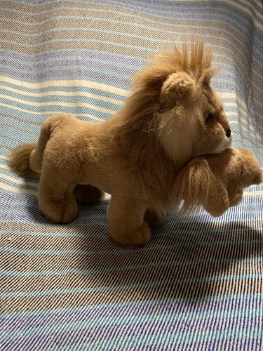 Lion carrying cub vintage - carrying,