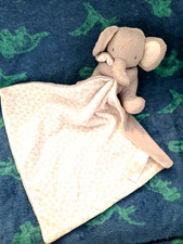 George Grey Stars Elephant