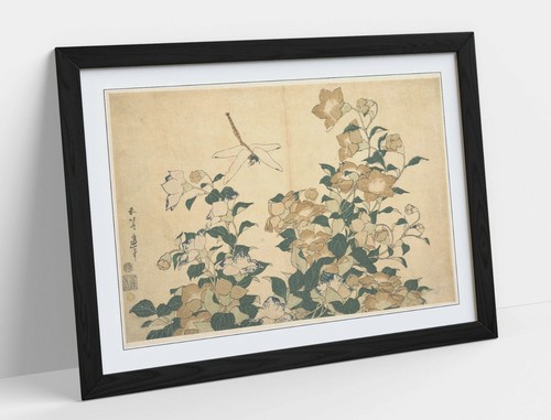 Hokusai dragonfly - dragonfly, &