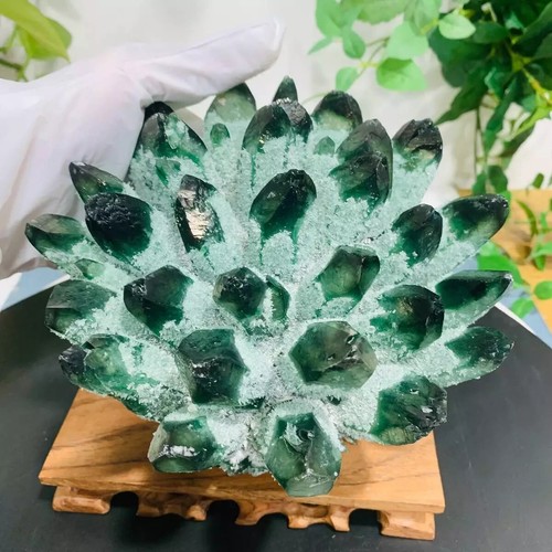 2026rare large raw green - large, ghost