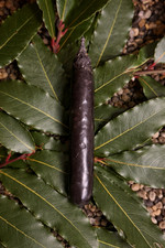 Witchcraft Spell Magic Candles