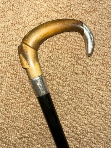 Antique walking stick bovine - -,