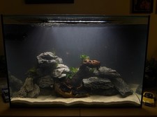 Fish Tank 160l