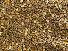 1KG PHEASANT FOOD corn grain & seed mix food for garden pheasants with aniseed