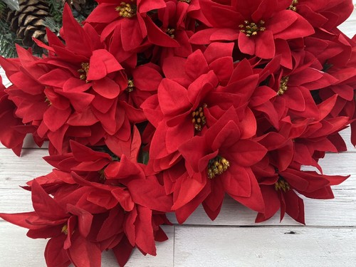 Job lot red velvet poinsettias - job,