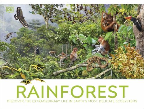Rainforest discover the - rainforest:,