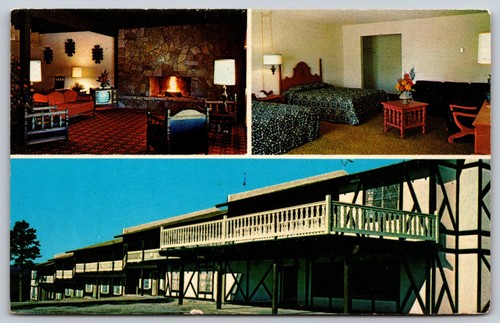 Vintage swiss chalet inn - chalet, motel