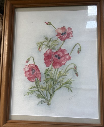 Watercolour poppy painting - ,