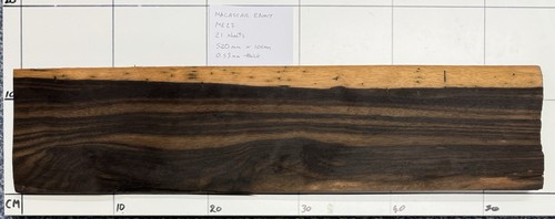 Macassar ebony real wood - ebony,