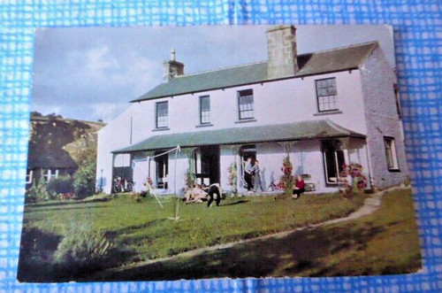 Vintage postcard the youth - vintage,