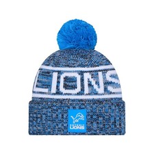 Detroit Lions 2025 Sideline