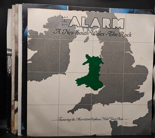The alarm vinyl - the,