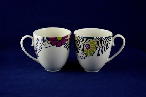 Denby monsoon cosmic - cosmic, x2