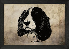 English Springer Spaniel