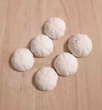 6 x Weekend Food Tablets for