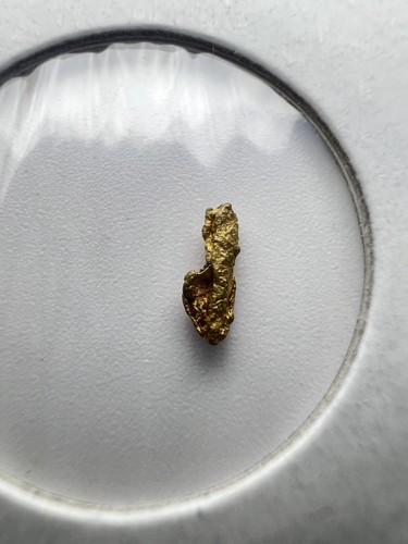 Gold nugget hand panned from - nugget,