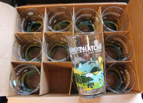 Thatchers cider pint - pint, hot