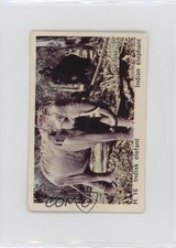 1969 Danish Dandy Gum Wild