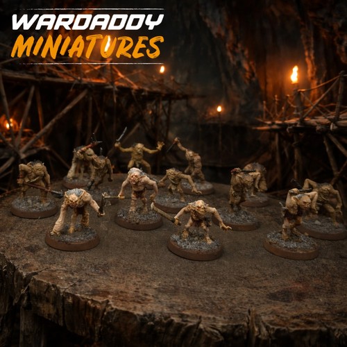 Pro painted warhammer lotr the - pro,