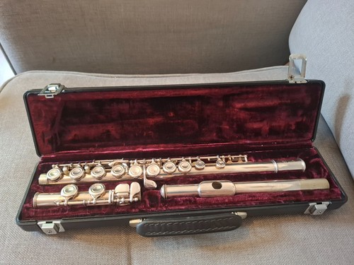 Flute musical instrument - flute,